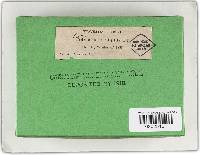 Inonotus obliquus image