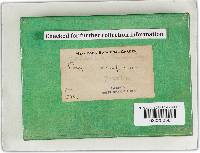 Image Associated With the Occurrence