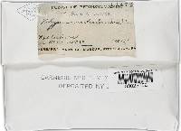 Thumbnail image of current specimen