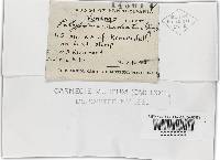 Thumbnail image of current specimen