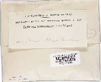 Image Associated With the Occurrence