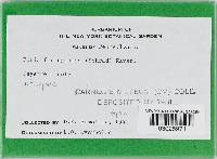 Image Associated With the Occurrence