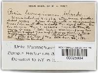 Image Associated With the Occurrence