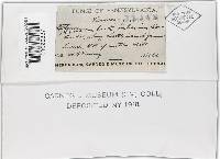 Pseudochaete tabacina image