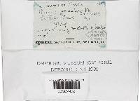 Image Associated With the Occurrence