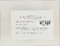 Image Associated With the Occurrence