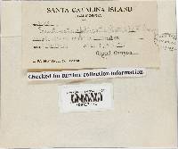 Image Associated With the Occurrence