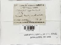 Image Associated With the Occurrence