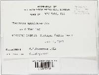 Image Associated With the Occurrence