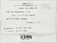 Image Associated With the Occurrence