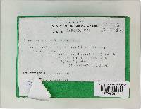 Image Associated With the Occurrence