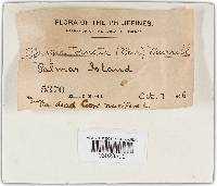 Thumbnail image of current specimen