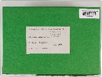 Image Associated With the Occurrence