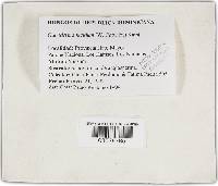 Image Associated With the Occurrence