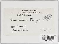 Image Associated With the Occurrence