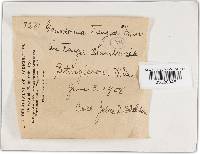 Image Associated With the Occurrence