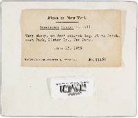 Image Associated With the Occurrence