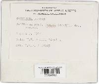 Image Associated With the Occurrence