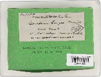 Image Associated With the Occurrence