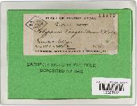 Image Associated With the Occurrence