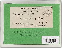 Image Associated With the Occurrence