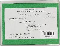 Image Associated With the Occurrence