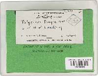 Image Associated With the Occurrence