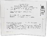 Phellinus gilvus image