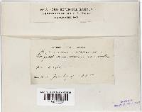 Thumbnail image of current specimen