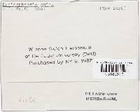 Image Associated With the Occurrence