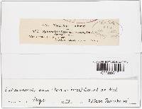 Image Associated With the Occurrence