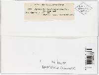 Image Associated With the Occurrence