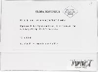 Image Associated With the Occurrence