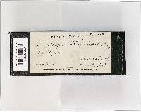 Diatrype stigma image