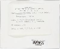 Diatrypella favacea image