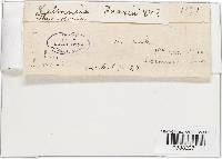 Image Associated With the Occurrence