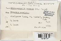 Image Associated With the Occurrence