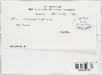 Image Associated With the Occurrence