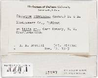 Image Associated With the Occurrence