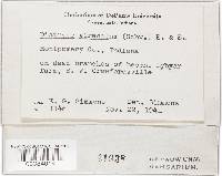 Image Associated With the Occurrence