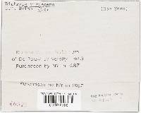 Image Associated With the Occurrence