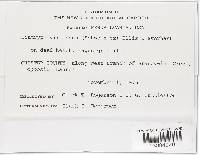 Image Associated With the Occurrence