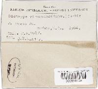 Image Associated With the Occurrence