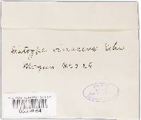 Image Associated With the Occurrence