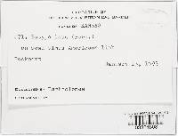 Image Associated With the Occurrence