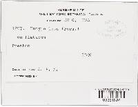 Image Associated With the Occurrence