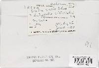 Image Associated With the Occurrence