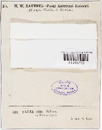 Image Associated With the Occurrence