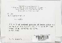 Image Associated With the Occurrence