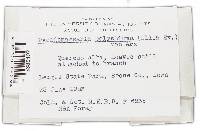 Pseudomassaria polystigma image